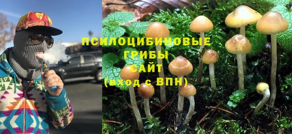 меф Арсеньев