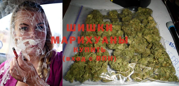 меф Арсеньев