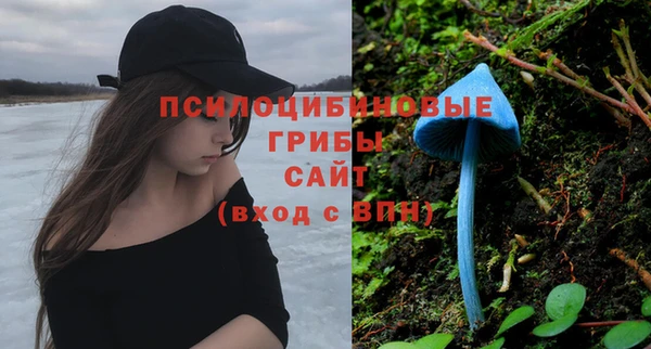 меф Арсеньев