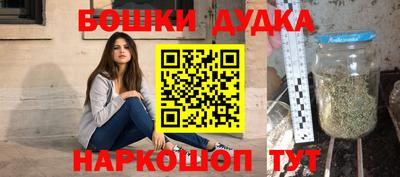 индика Гуково