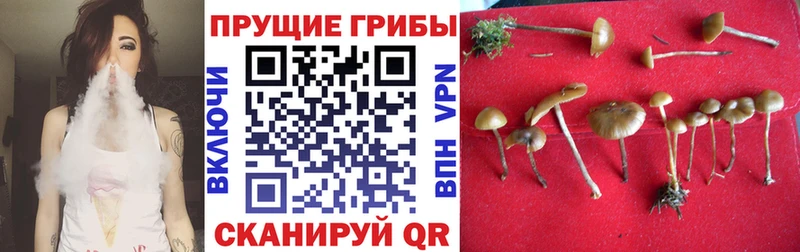mega маркетплейс  Ахтубинск  Галлюциногенные грибы мухоморы 