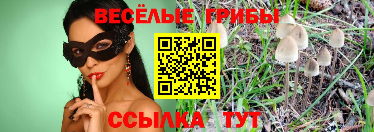 Ахтубинск  Псилоцибиновые грибы ЛСД  Вход с VPN 